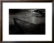 Jetty Near The Palm Beach by Olivier Meriel Limited Edition Print