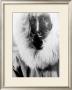 Alaskan Native by Edward S. Curtis Limited Edition Print