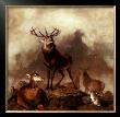 Majestic Gathering by Edwin Henry Landseer Limited Edition Print
