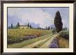 Holiday In Tuscany by Hawley Limited Edition Print