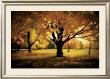 Under The Tree by M. Ellen Cocose Limited Edition Print