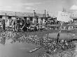 Refugees Labouring At The Kitchener Camp by Robert Hunt Limited Edition Print