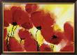 Roter Mohn Toskana by Heidi Reil Limited Edition Pricing Art Print