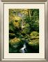 Elowah Falls by Anthony E. Cook Limited Edition Pricing Art Print
