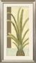 Palm Details Iii by Jennifer Goldberger Limited Edition Print