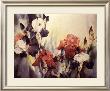 Returning To Spring by Karen Vernon Limited Edition Print
