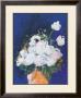 Weisse Rosen by Johannes Bender Limited Edition Print