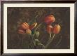 Fleur De Lis Tulips by Janel Pahl Limited Edition Pricing Art Print