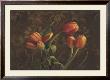 Fleur De Lis Tulips by Janel Pahl Limited Edition Print