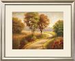 Afternoon Path by Mathews Limited Edition Print