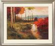 Autumn River In Tuscany by Kanayo Ede Limited Edition Print