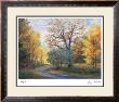 Autumn Road by Gregory Wilhelmi Limited Edition Print