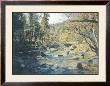 North Fork Of The Jemez by William Preston Limited Edition Print
