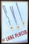 Ski At Lake Placid by Mallrer Mv Pricing Limited Edition Art Print