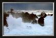 Wind Storm by Valery Hache Limited Edition Pricing Art Print