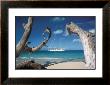 Yacht At Anchor, Caribbean by Alexis Andrews Limited Edition Print