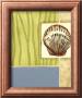 Seaside Shells Iv by Jennifer Goldberger Limited Edition Print