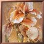 Golden Iris by Dennis Carney Limited Edition Print