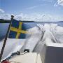 A Speedboat With The Swedish Flag by Ove Eriksson Limited Edition Pricing Art Print