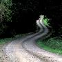 Dirt Road Passing Through A Forest, Sweden by Jorgen Larsson Limited Edition Print