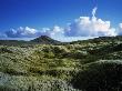 Mossy Landscape And A Mountain In Background, Iceland by Fridrik Orn Hjaltested Limited Edition Print