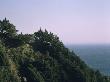 Wild Bird, Big Sur, California, 1957, View Out To Big Sur, Architect: Nathaniel And Margaret Owings by Alan Weintraub Limited Edition Print