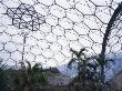 Eden Project, Bodelva, St Austell, Cornwall -Tropical Biome, Nicholas Grimshaw And Partners by Benedict Luxmoore Limited Edition Print