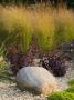 Gravel Border With A Rock, Stipa Tenuissima, Salvia And Sedums, Designer: Clare Matthews by Clive Nichols Limited Edition Print