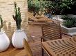 Wood And Limestone Terrace Beside House With Table And Chairs And Candelabra Cactus by Clive Nichols Limited Edition Print