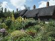 Anne Hathaway's Cottage, Stratford On Avon, England, Home Of William Shakespeare's Wife Until 1582 by David Churchill Limited Edition Print