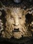 Stone Face, The Grotto, Leeds Castle, Kent, England by Mark Fiennes Limited Edition Print