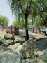 Summer Palace, Beijing, China - Gardens - World Heritage Site - Unesco by Natalie Tepper Limited Edition Print