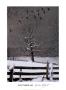 Winter Flight by Bob Timberlake Limited Edition Pricing Art Print