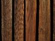 Backgrounds - Detail Of Rich Brown Close-Boarded Fence by Natalie Tepper Limited Edition Print