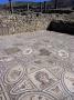 Labour Of Hercules Mosaic, Labour Of Hercules House, Numidian/Roman Site Of Volubilis, Morocco by Natalie Tepper Limited Edition Print