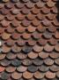 Backgrounds - Red Shingles Roof Tiles by Natalie Tepper Limited Edition Print