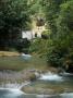 Ys Falls, Jamaica by Natalie Tepper Limited Edition Print