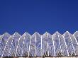 L'umbracle / Promendade And Coach Park, City Of Arts And Sciences, Valencia by Patrick Brice Limited Edition Print