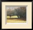 Under The Hedge by Marc Bohne Limited Edition Print