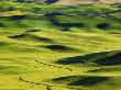 View From Steptoe Butte, Palouse Counrty, Washington, Usa by Terry Eggers Limited Edition Print