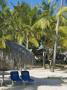Beach Chairs, Viva Wyndham Dominicus Beach, Bayahibe, Dominican Republic by Lisa S. Engelbrecht Limited Edition Print