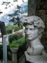 Bust In The Secret Garden, Amalfi by Eloise Patrick Limited Edition Print