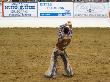 Happy Dance, Santa Barbara Rodeo by Eloise Patrick Limited Edition Pricing Art Print