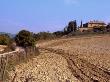 Tilled Field, Chianti by Eloise Patrick Limited Edition Print