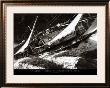 Marjetta - Veteran Boat Rally, Port Cervo by Carlo Borlenghi Limited Edition Pricing Art Print
