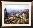 Vineyard Vista by Peter Van Dusen Limited Edition Pricing Art Print