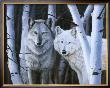 Silent Sentinals by Rusty Frentner Limited Edition Print