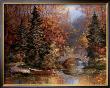 Woodland Splendor by T. C. Chiu Limited Edition Pricing Art Print