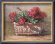 Linda's Geraniums by Paul Mathenia Limited Edition Pricing Art Print