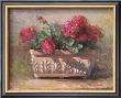 Linda's Geraniums by Paul Mathenia Limited Edition Print